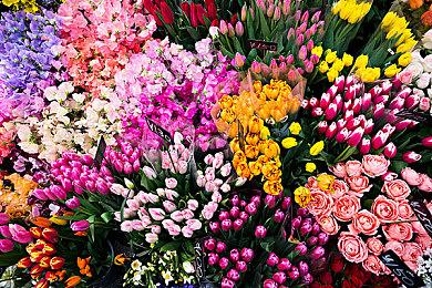 EA高尔夫游戏《EA SPORTS PGA TOUR》首爆预告 2023年春发售