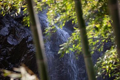 老黄不仁！英伟达计划减产RTX 50显卡 给AI GPU让道